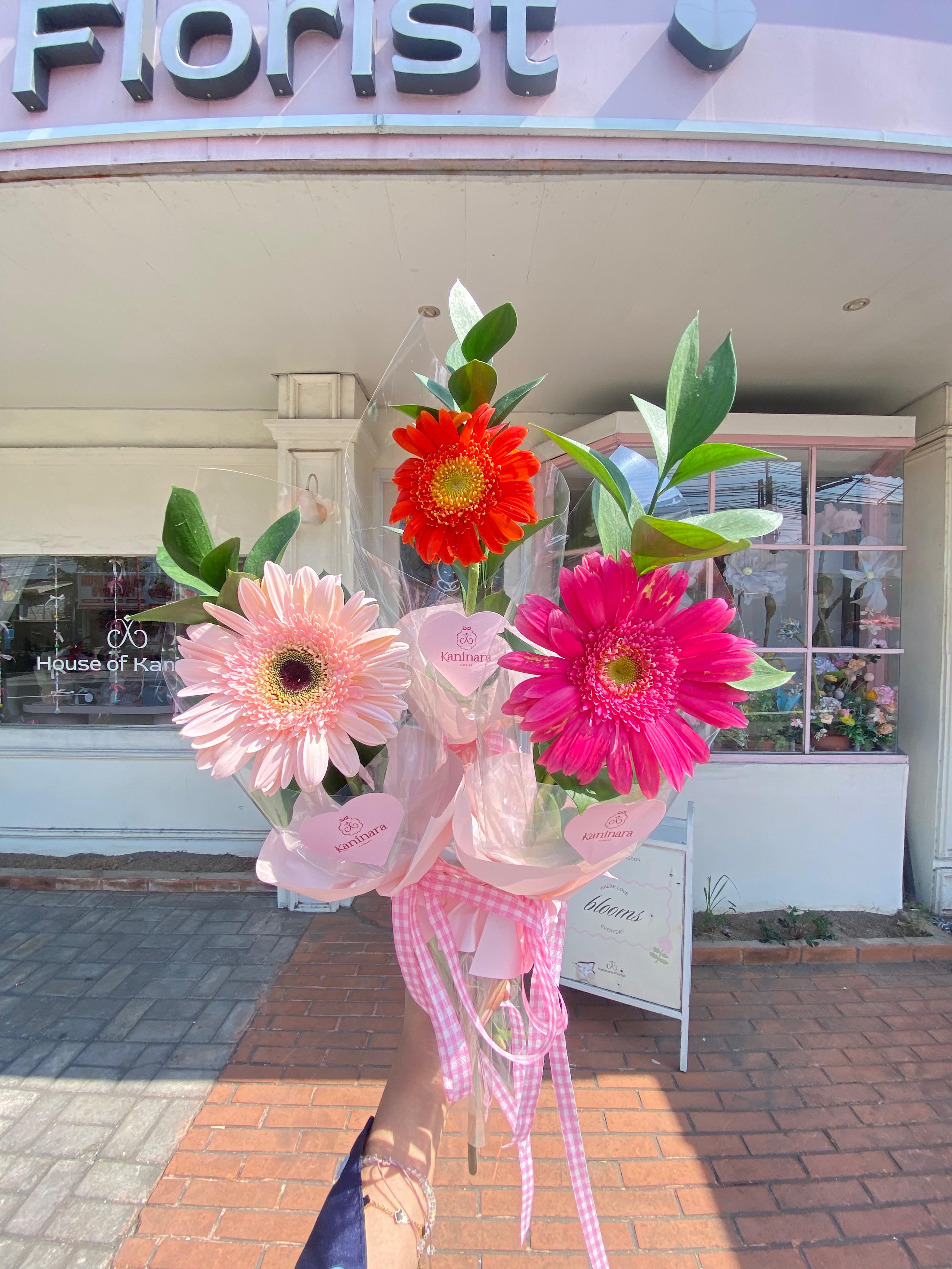 Single Gerbera 