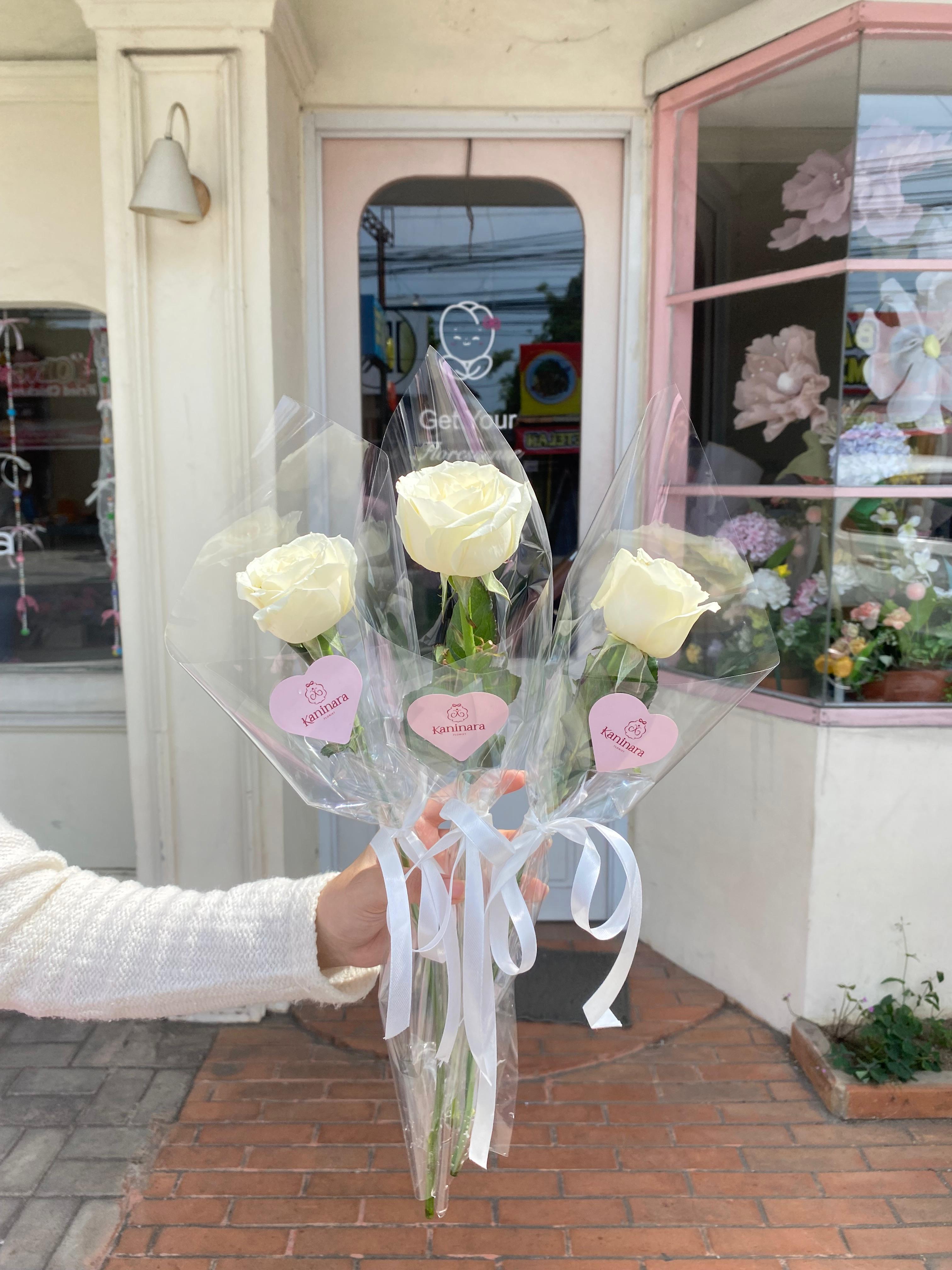 Simple White Rose