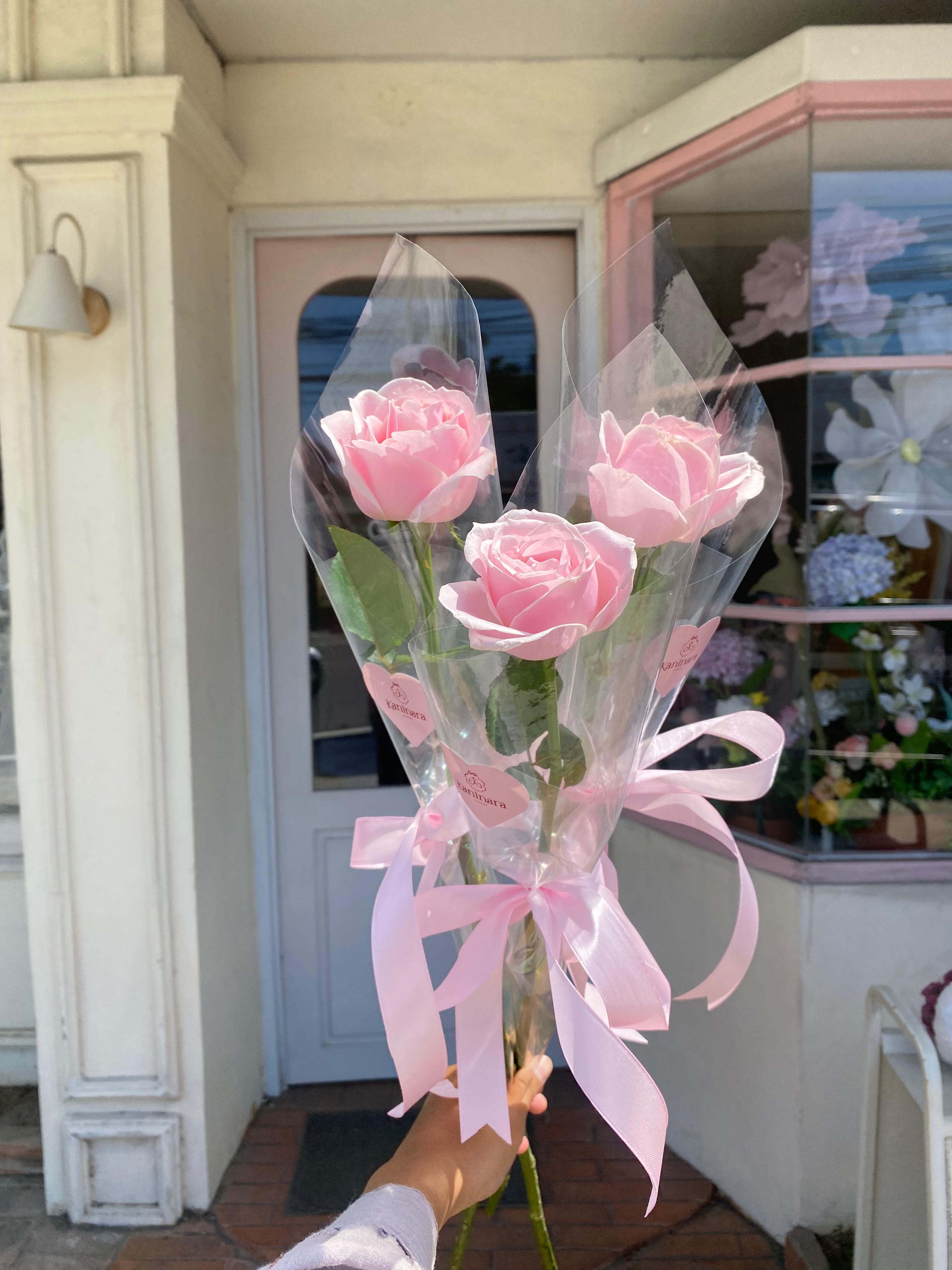 Simple Pink Rose