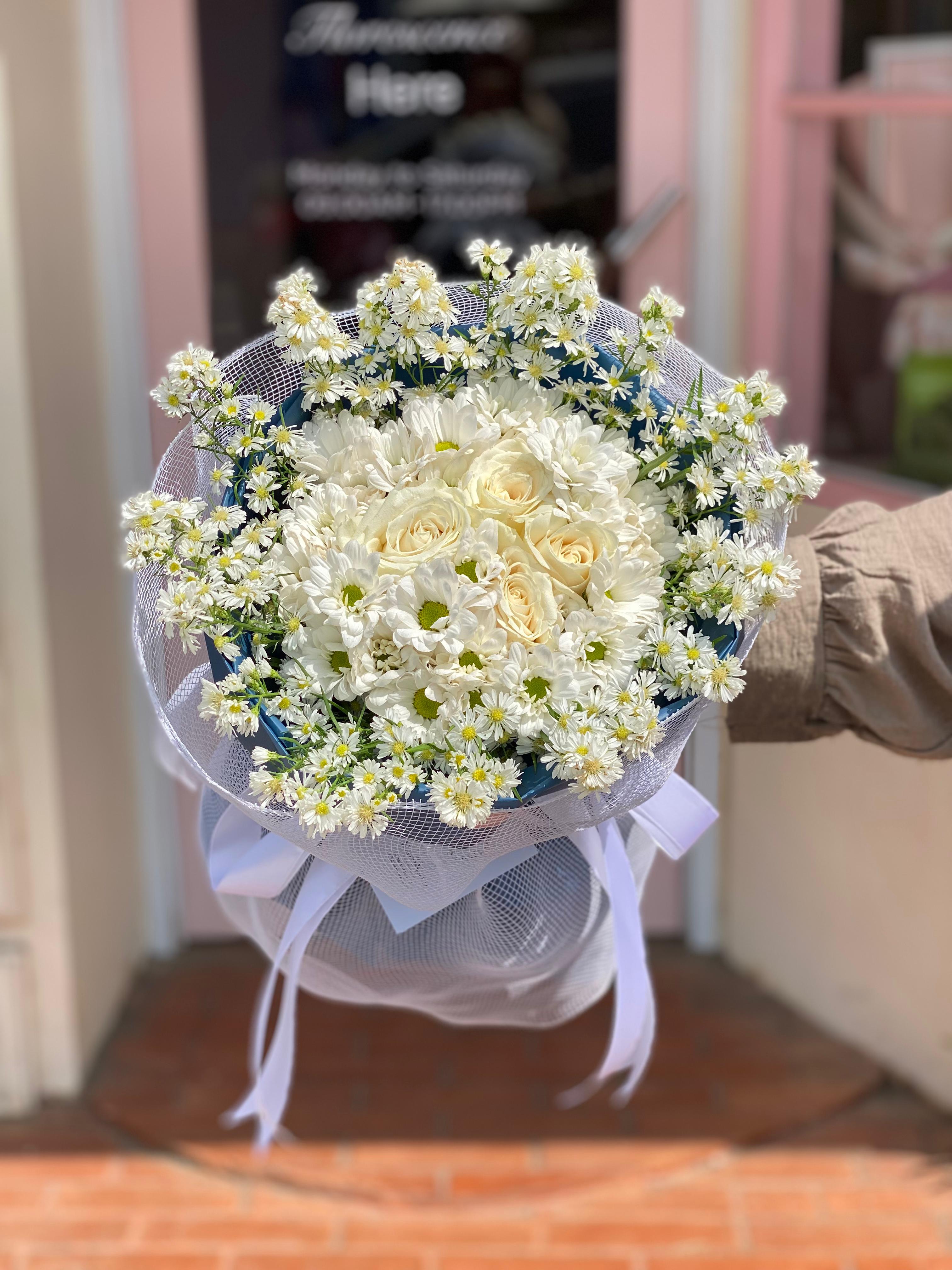 Blue Freesia