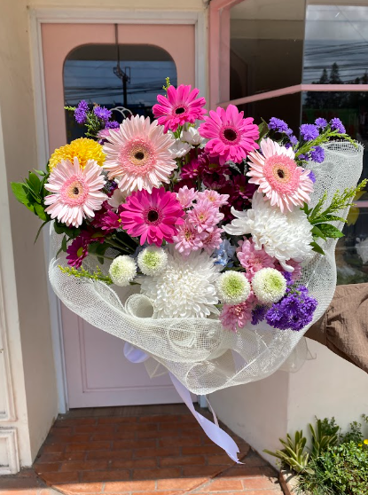 Gerbera Dream Pink