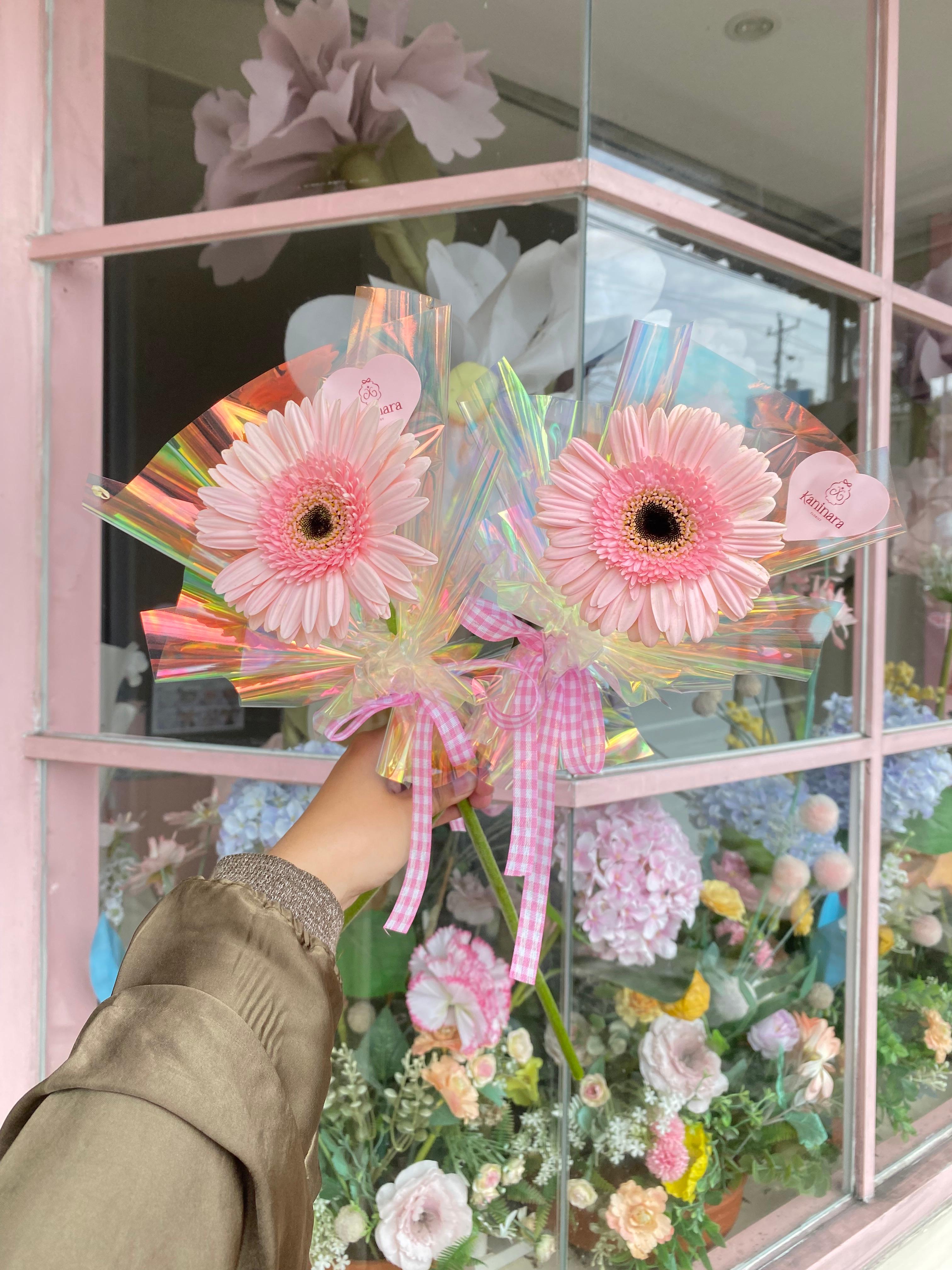 Single Holo Gerbera