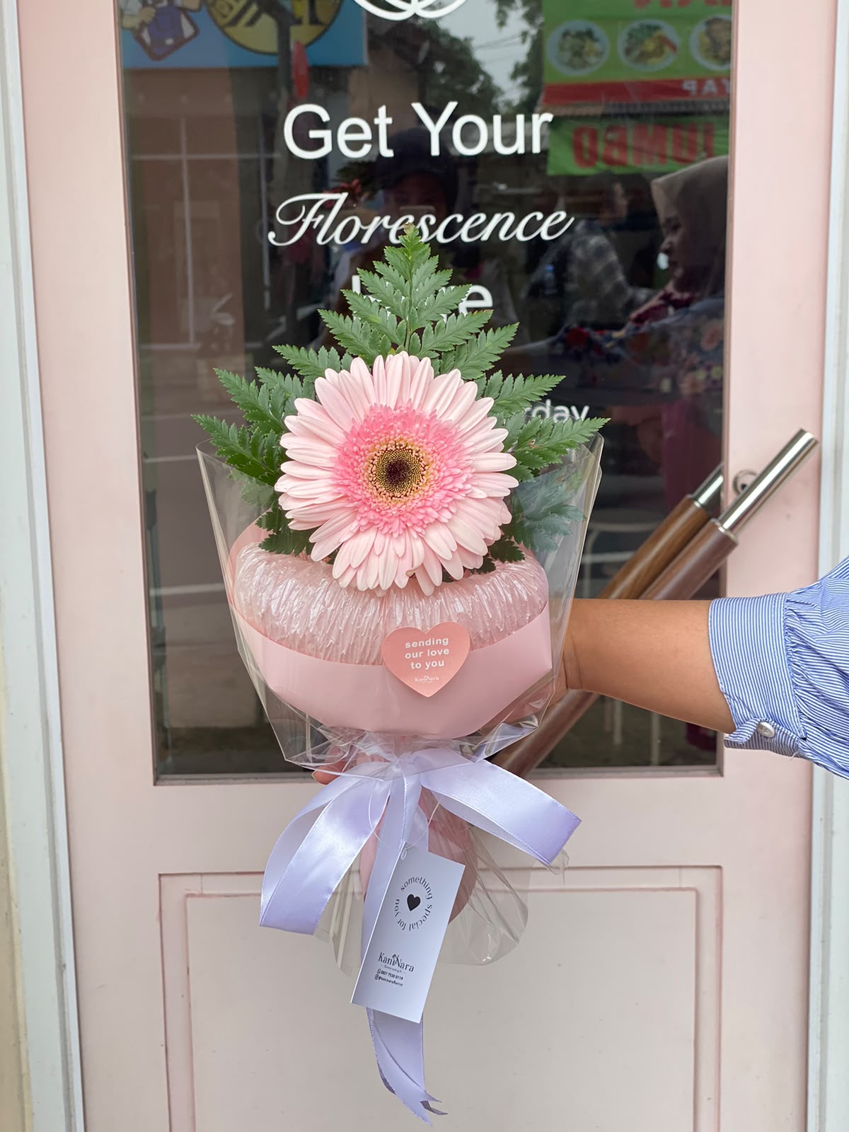 Gerbera Level Up