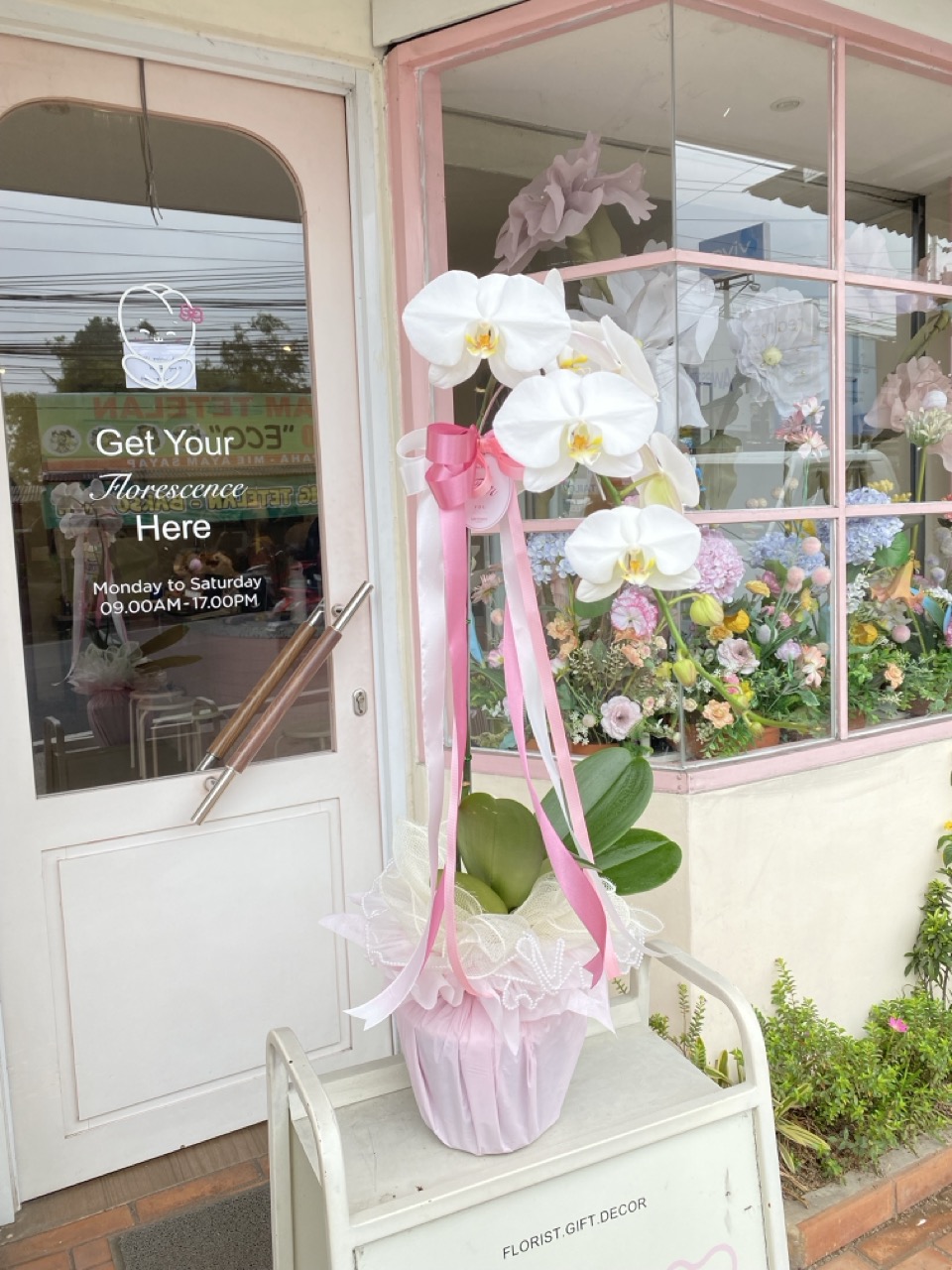 Orchid Of Love  Kode A