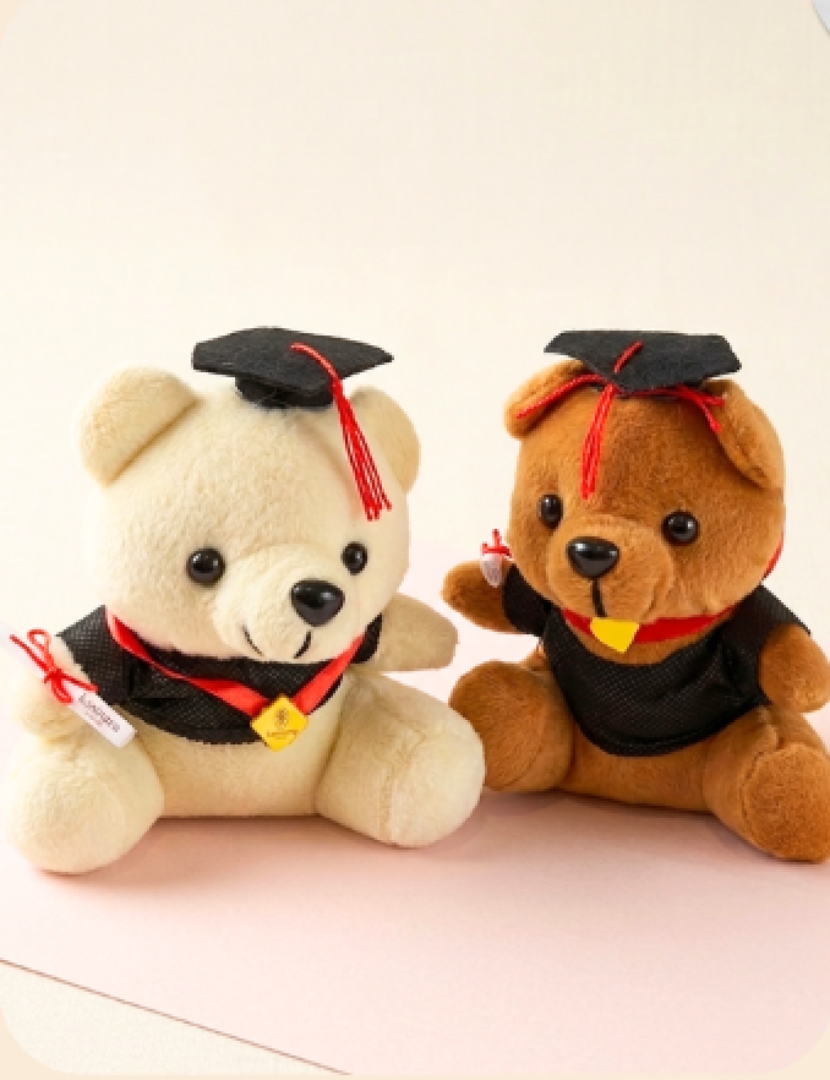 Boneka Wisuda 